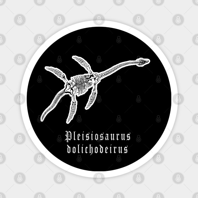 🦖 Fossil Skeleton of a Plesiosaurus dolichodeirus Dinosaur Magnet by Pixoplanet